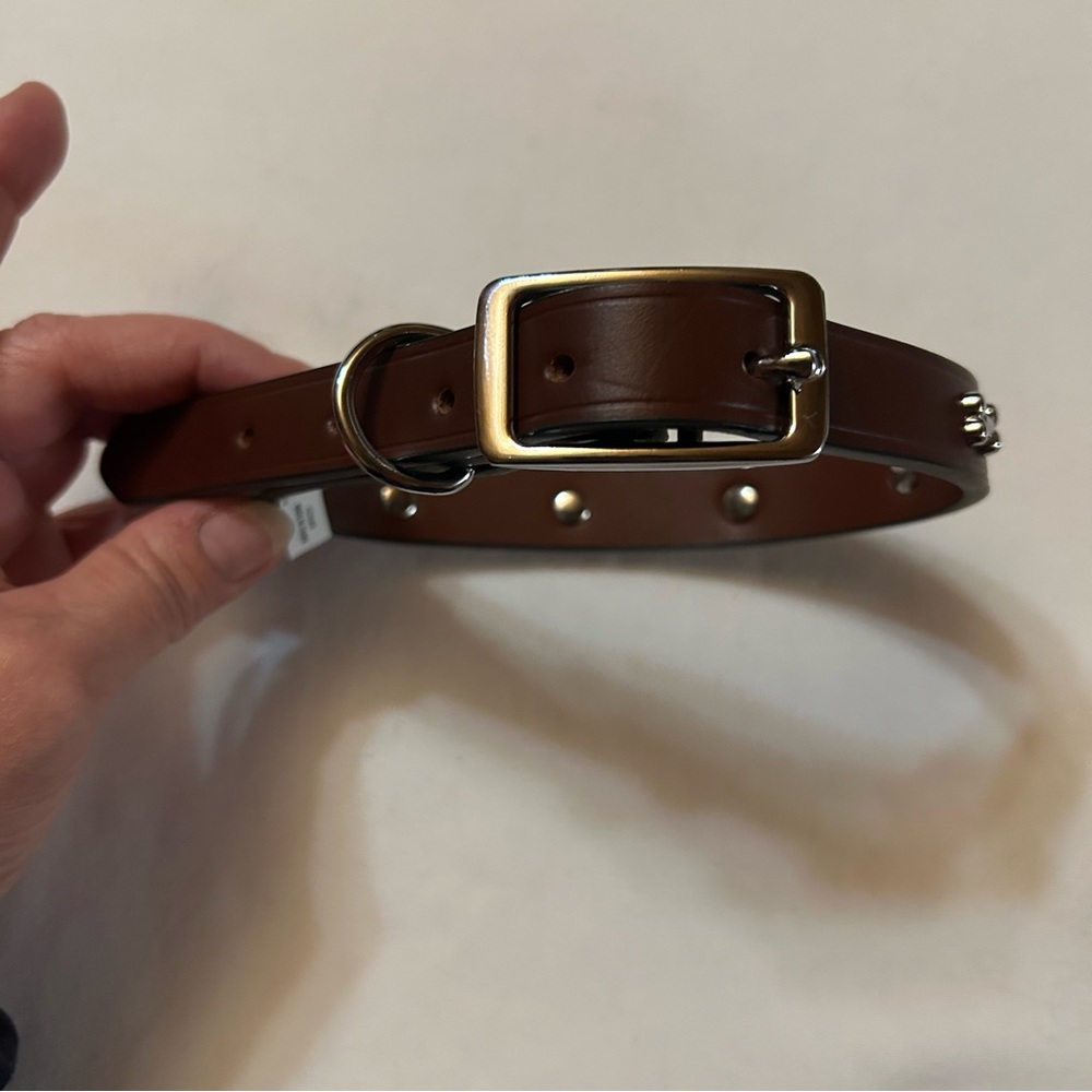 Medium Brown Leather Collar with Bones